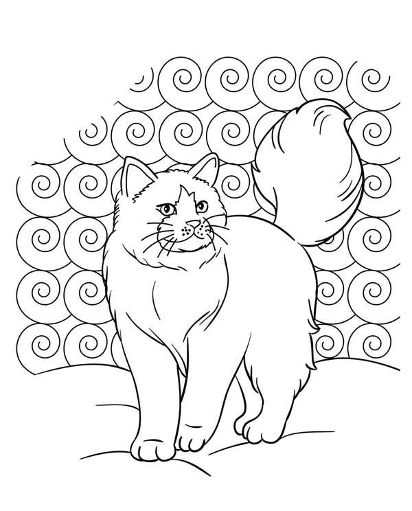 Раскраска. Котики