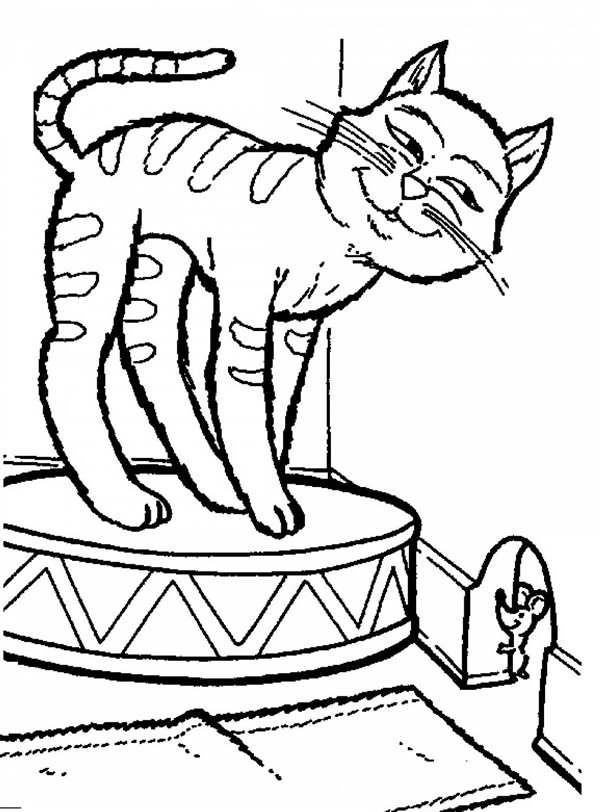 Кошка раскраска для детей