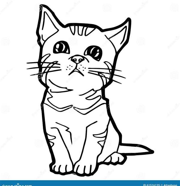 Коты мемы