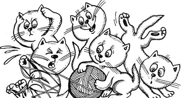 Раскраска кот