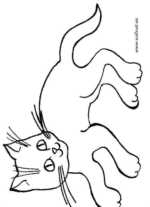 Кошачьи уши раскраска