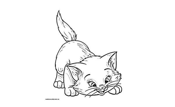 Раскраска. Котики