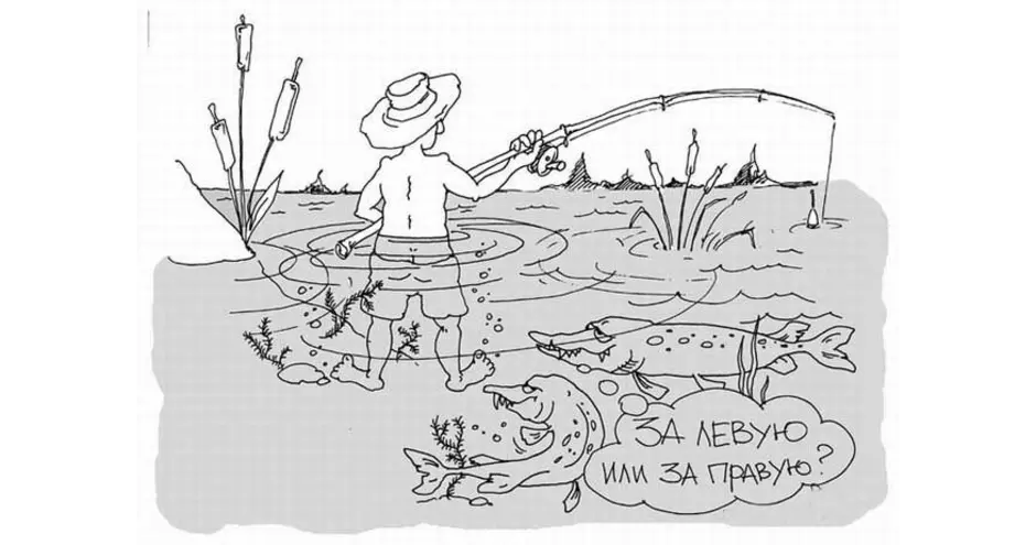 Раскраска Кот и его улов