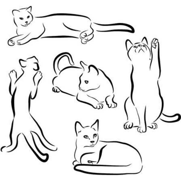 Кошки. Раскраска
