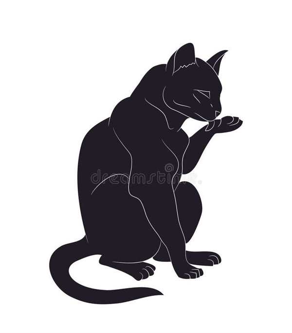 Кошка моется раскраска