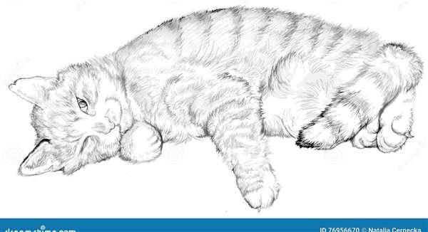 Кот умывается мультяшный