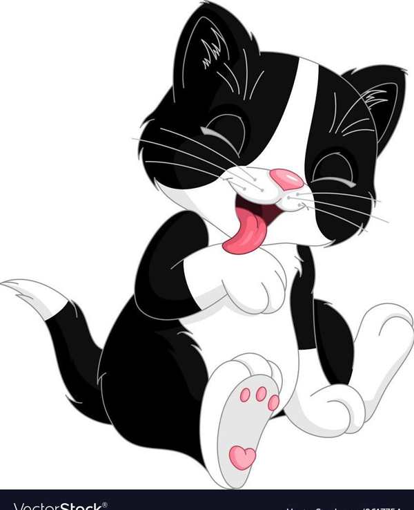 Кошка умывается