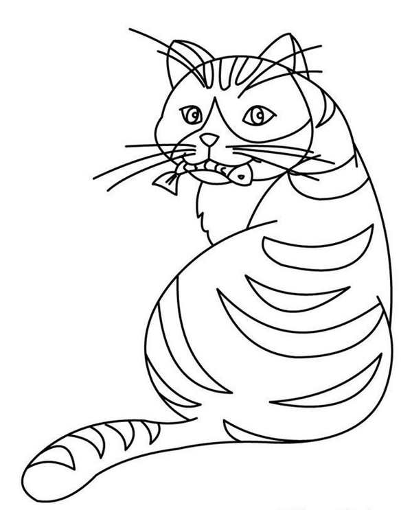 Раскраска кот
