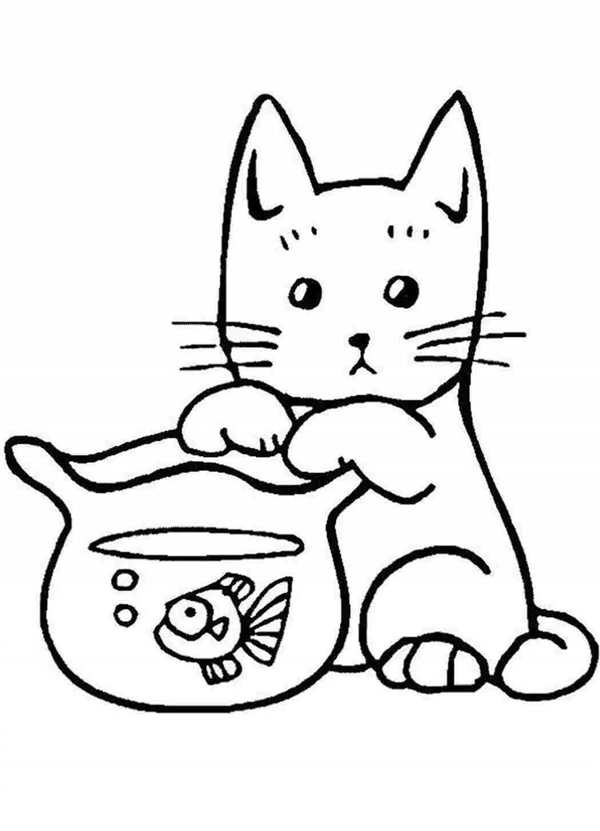 Раскраски котенок и аквариум