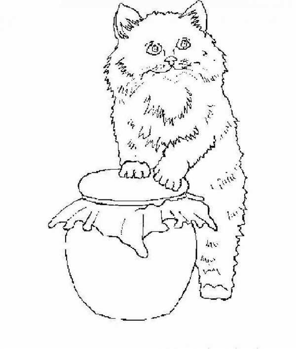 Спящий кот рисунок