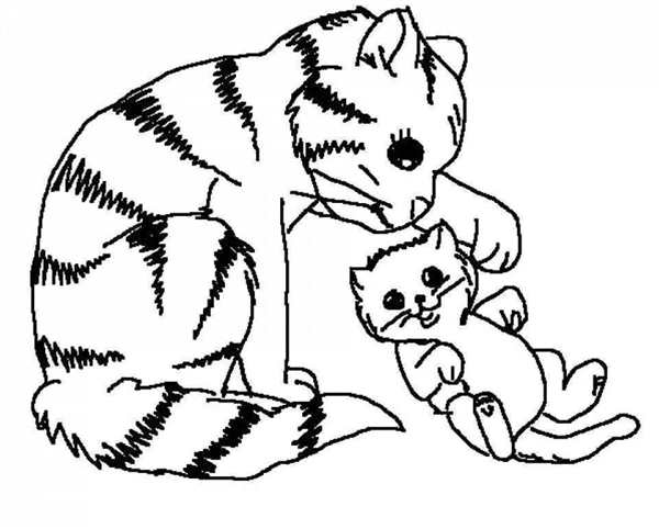 Раскраска кошка и собачка