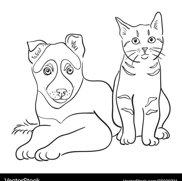Раскраска котенок и собачка