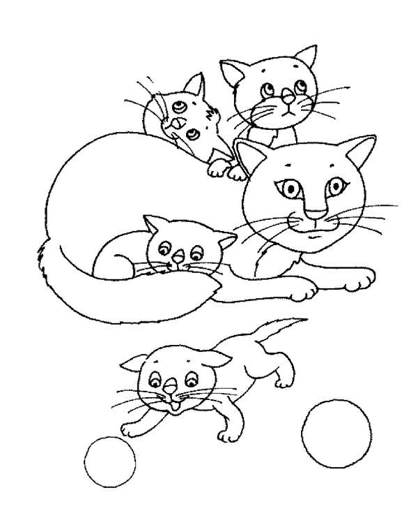 Раскраска. Котики