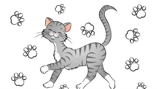 Раскраска Кот ищет след мышки