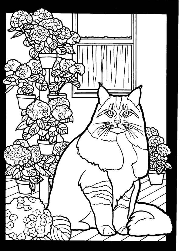 Котики на крыше раскраска