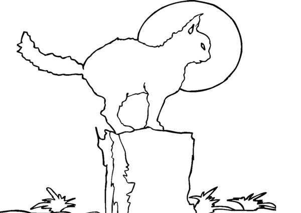 Кот на крыше раскраска