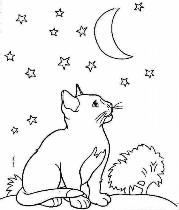 Кошка на печке раскраска