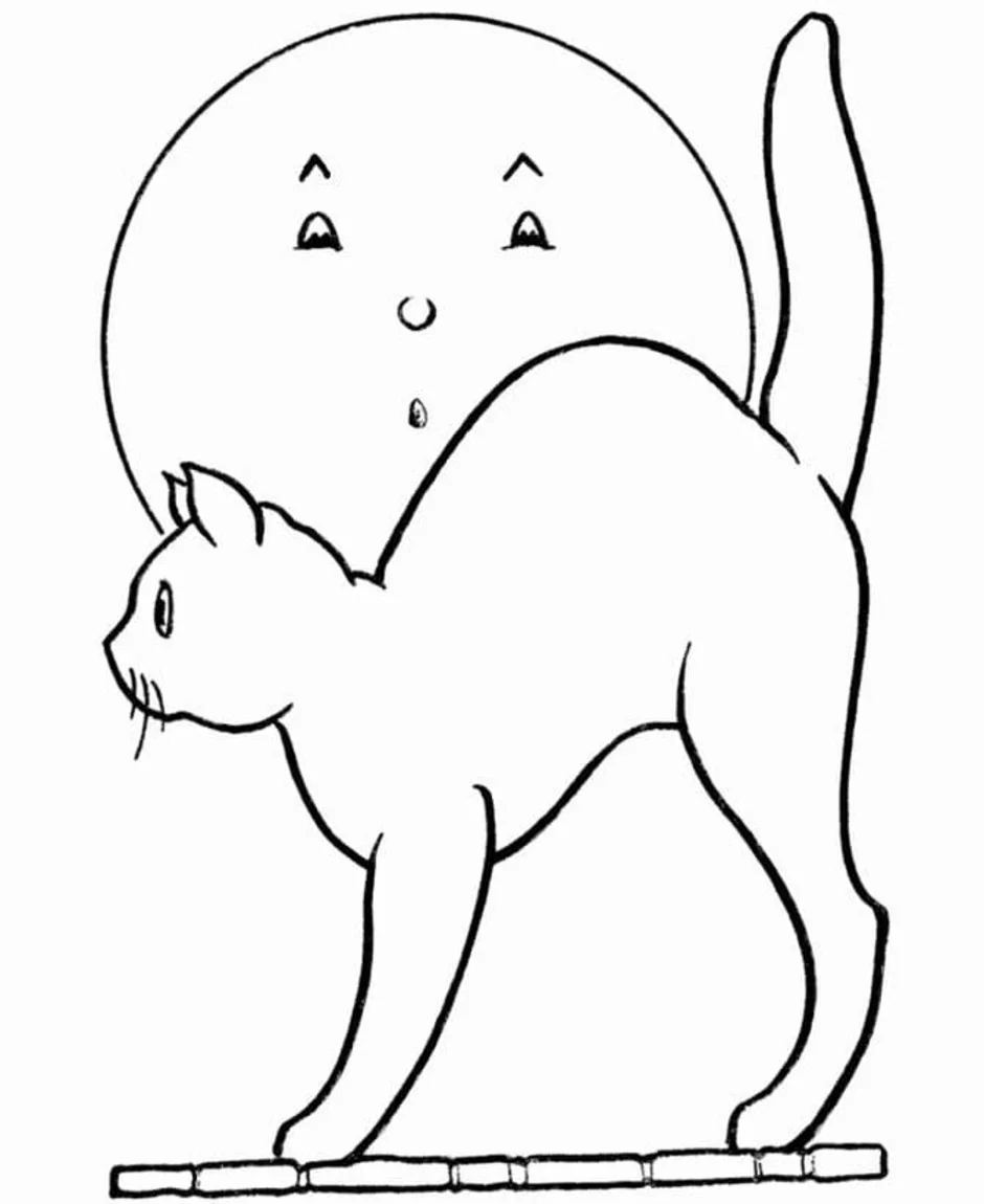 Раскраски красивые котята