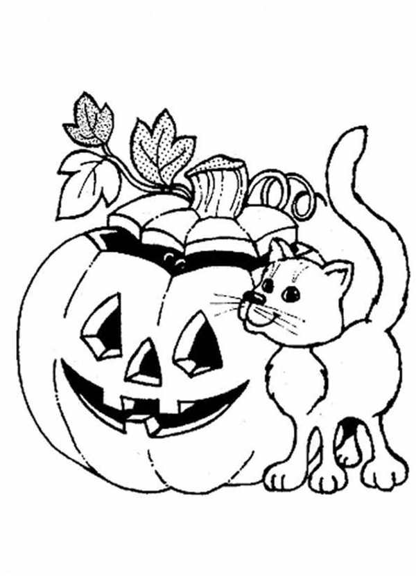 Раскраска котик Хэллоуин