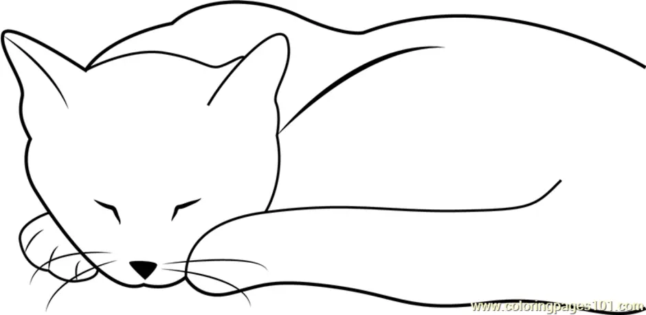Кот Саймон спит
