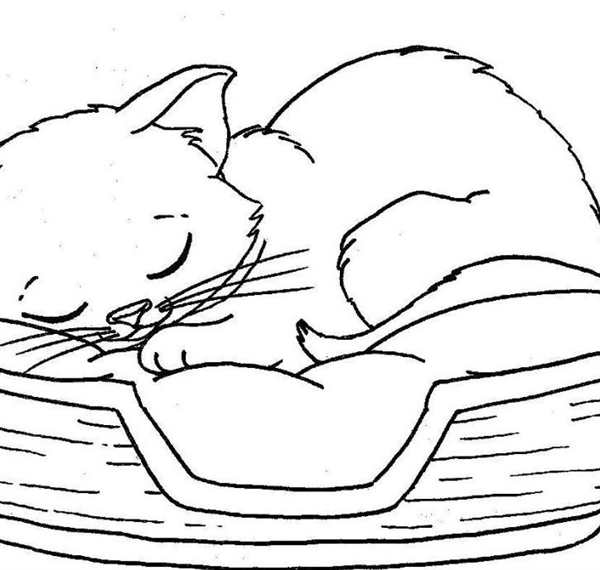 Кошка спит раскраска