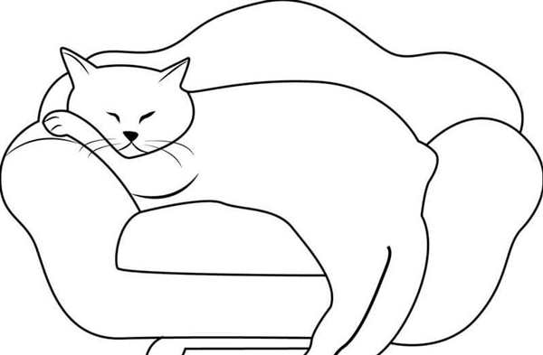 Раскраска Кот на уютной подушке
