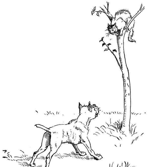 Кошки. Раскраска