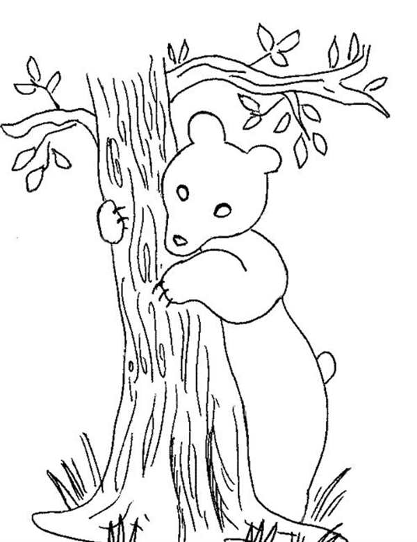 Кошки. Раскраска
