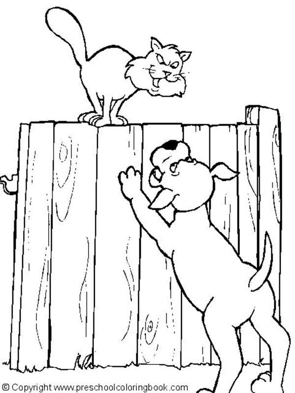 Кошка раскраска для детей