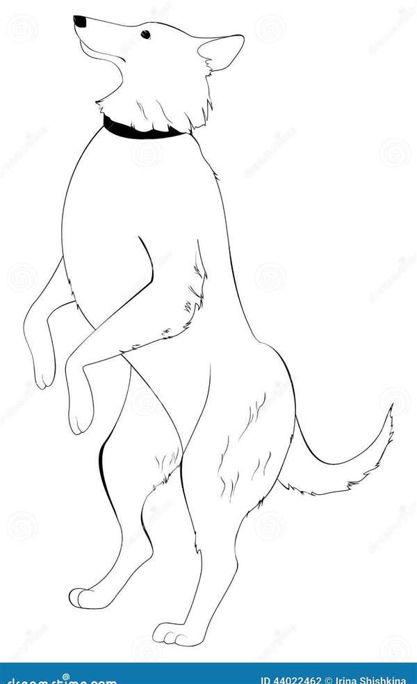 Кошки. Раскраска