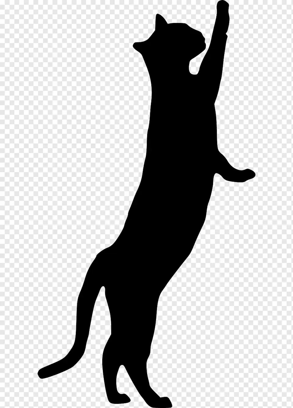 Кот Саймон