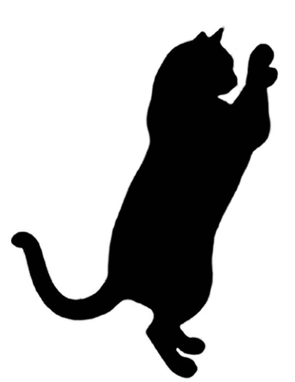Раскраска. Котики