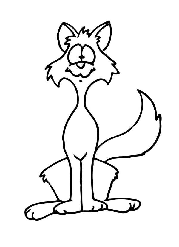 Раскраска Кот наhindlegs