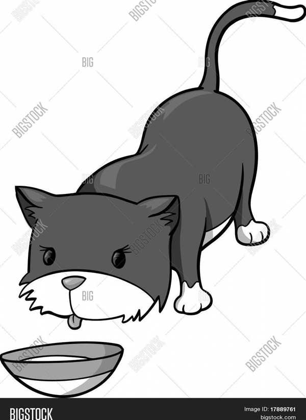 Раскраска кот