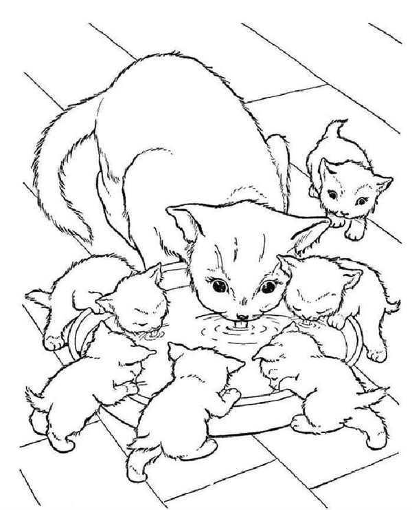 Котенок пьет молоко раскраска