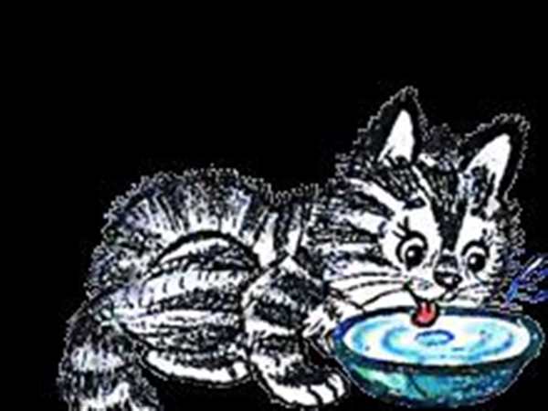 Раскраска котенок лакает молоко