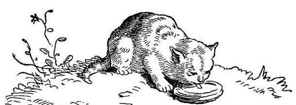 Раскраска Кот Пьёт Молоко и Лакает Торт