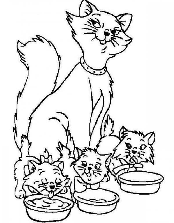 Котенок. Раскраска