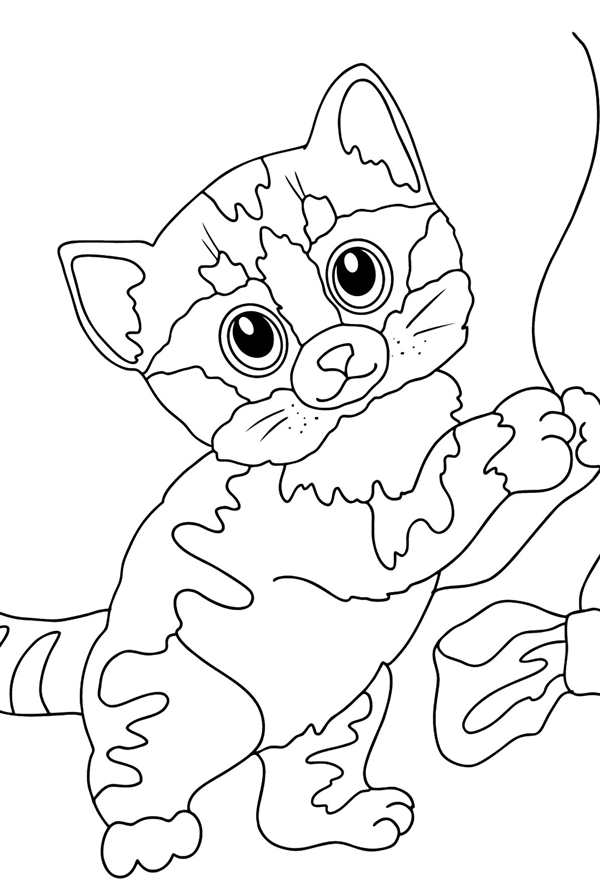 Раскраска кошечка
