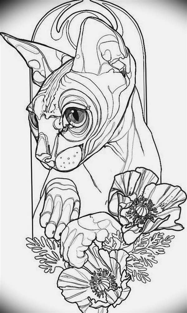 Корниш рекс кошка раскраска