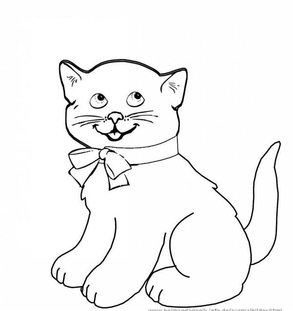 Котенок. Раскраска