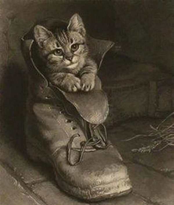 Кот в сапогах рисунок карандашом