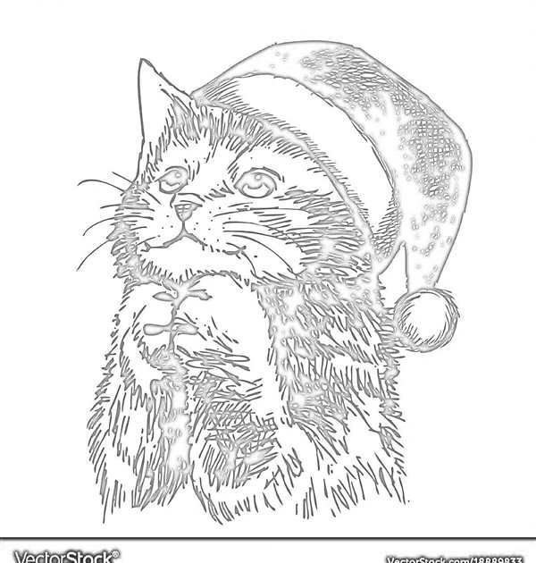 Раскраска. Котики