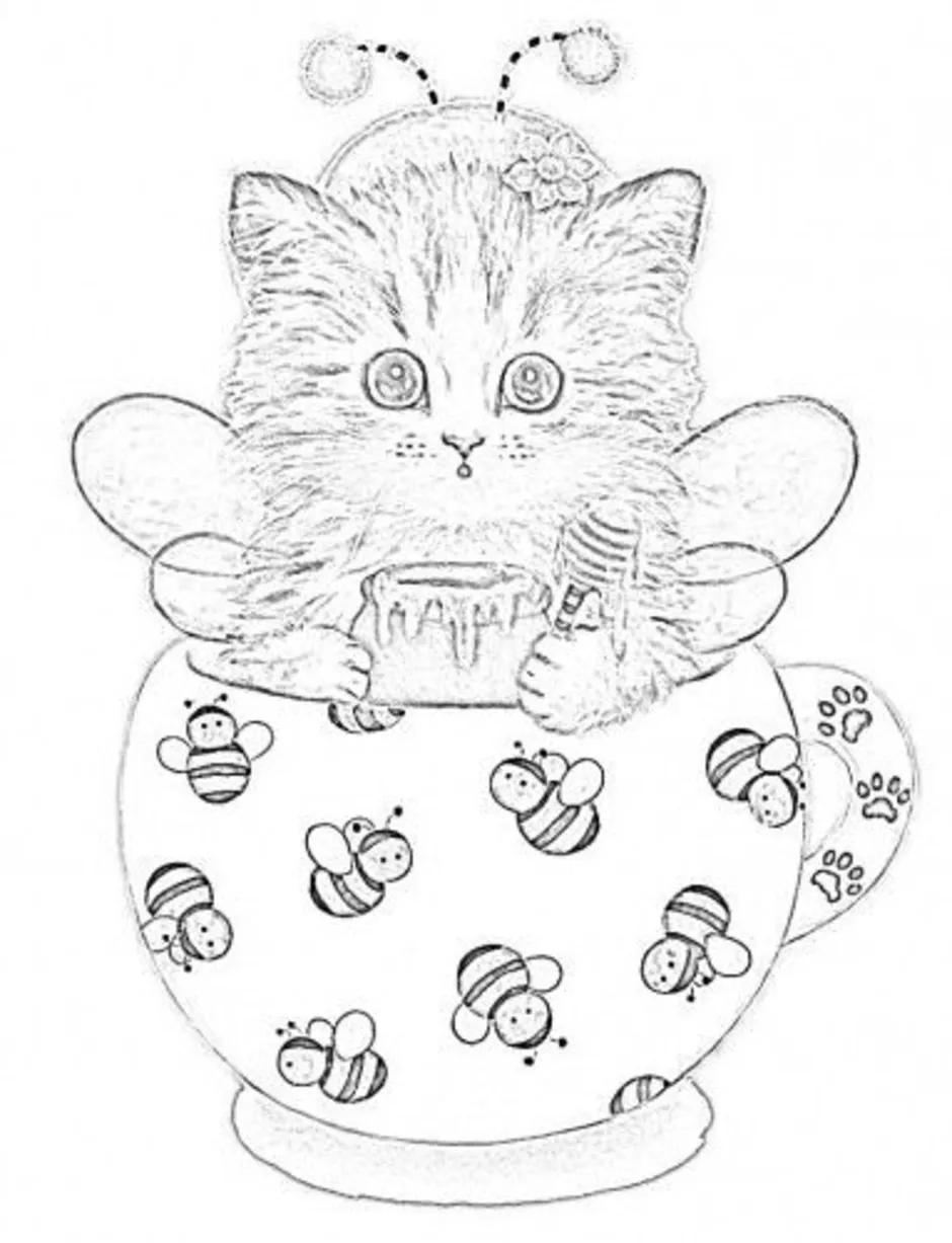 Раскраска мордочка кошки