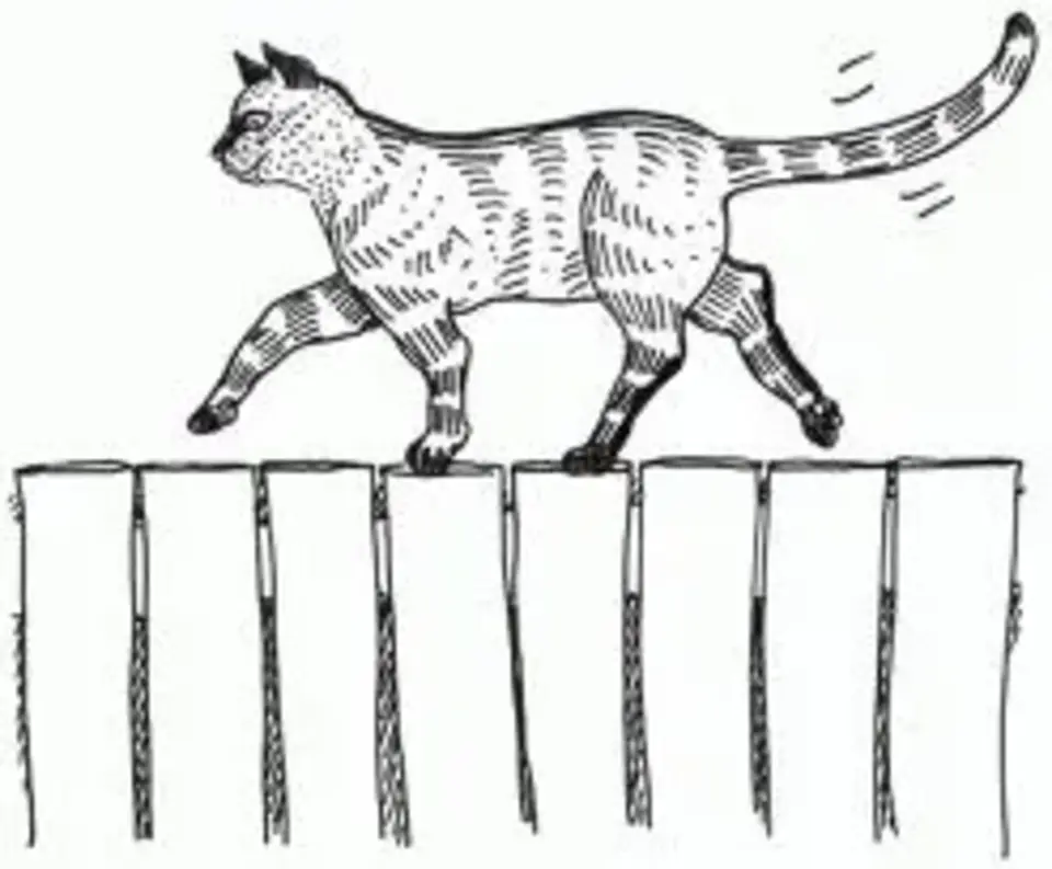 Коробка мультяшная