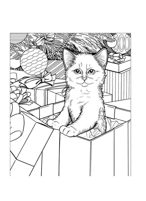Рисованный кот в коробке