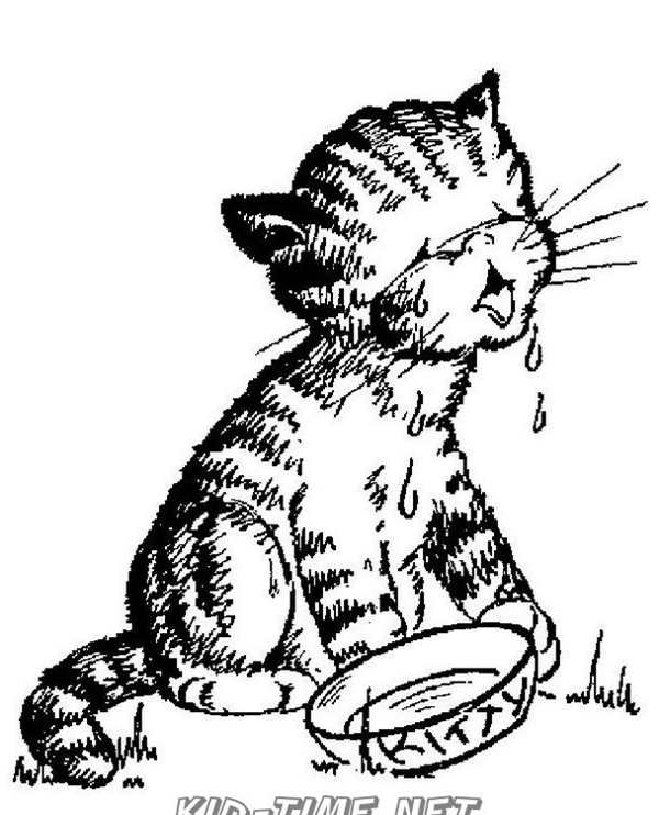 Раскраска кошечка