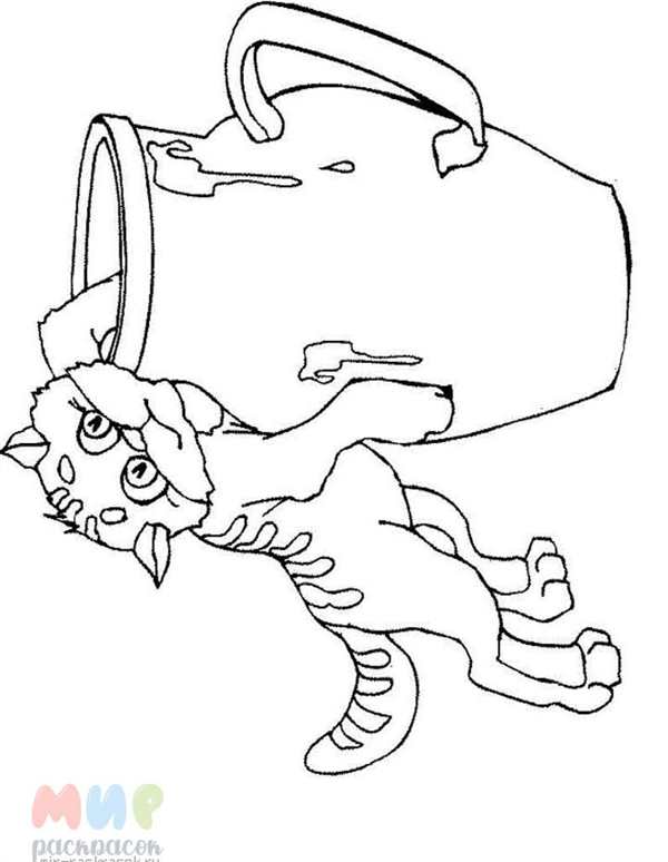 Раскраска кот