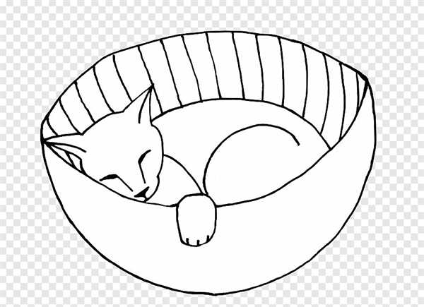 Раскраска кот