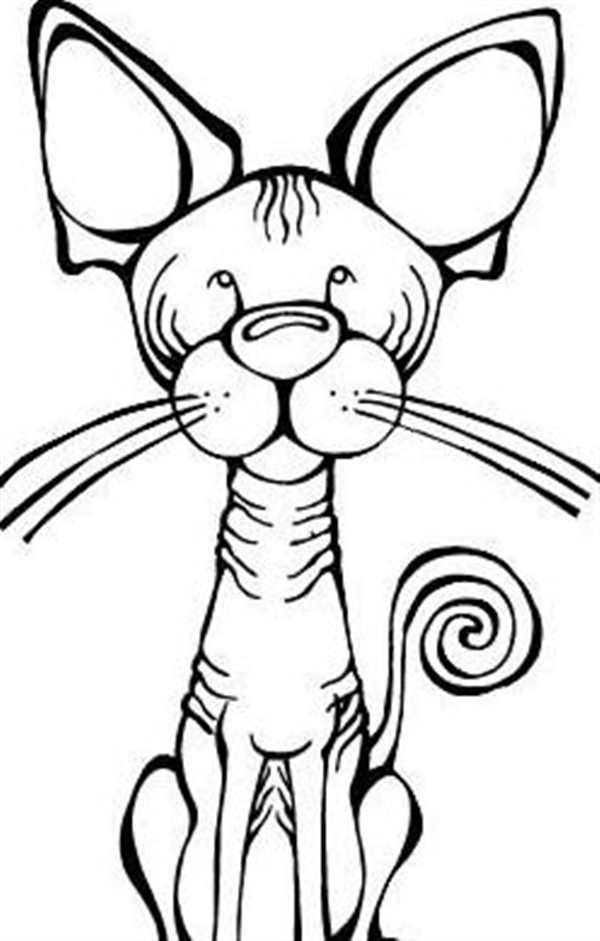 Раскраска котасфинкса ОзоунCreative Fun for Kids